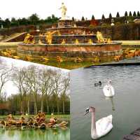 Palace of Versailles A Majestic Testament to Grandeur 
