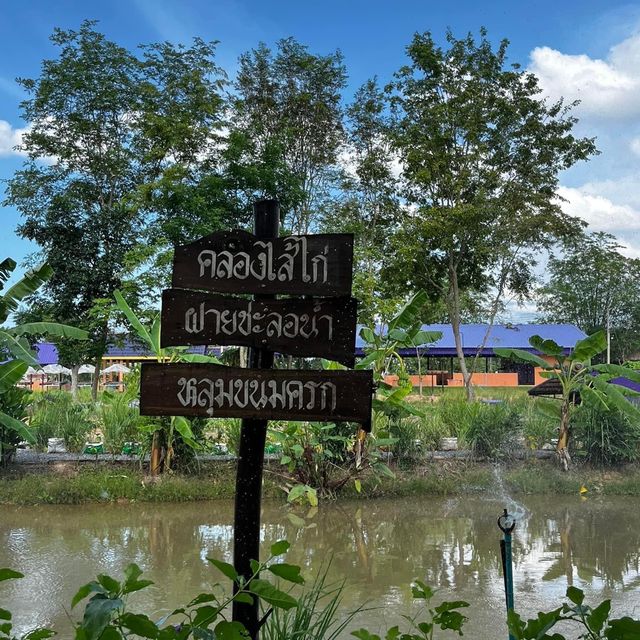 หัวใจสีเขียว💚โคกหนองนาโมเดล📍