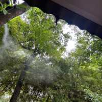 💚🍵 มีใจให้มัทฉะ Magokoro Teahouse เชียงใหม่ 🪴🌳