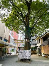 【東京都/子安神社】八王子最古の歴史ある神社