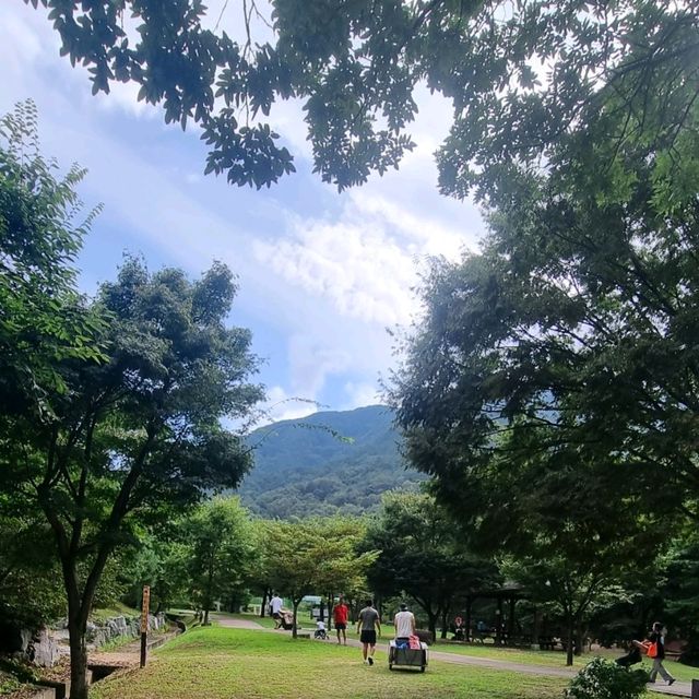 무료로 이용 금오산도립공원야영장