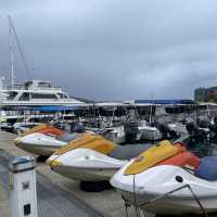 North Borneo Cruises 😍