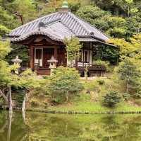 時光靜好的桂離宮：京都的日式庭園 🏯🌸🍃