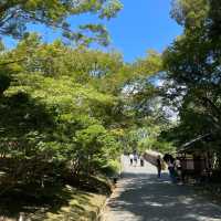 【ペットとお出かけ】嵐山公園をお散歩！
