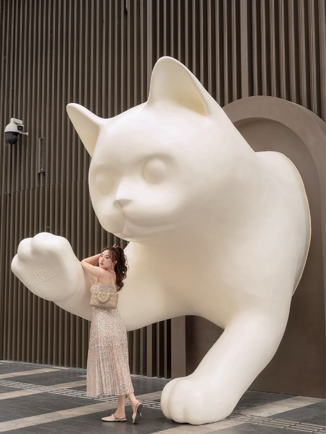 ‼️期間限定‼️🐈貓奴必去打卡位🐈🐈 
