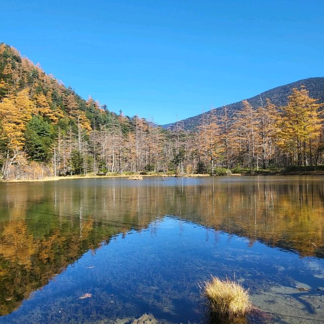 Golden moments in Kamikochi