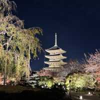 【京都】大人旅　秋の京都ココは外せない！