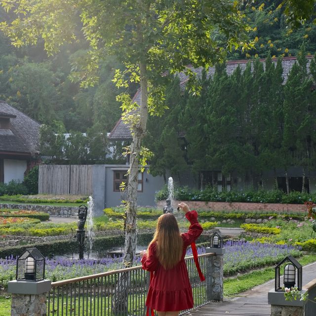 🌿 𝐅𝐥𝐨𝐫𝐚 𝐂𝐫𝐞𝐞𝐤 𝐂𝐡𝐢𝐚𝐧𝐠𝐦𝐚𝐢  🌿