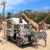 safari park is far from Bangkok around 3hours traffic by car, but it’s really worth to go.