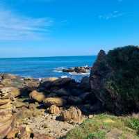 The Nanya Rocks and Nanya Lookout
