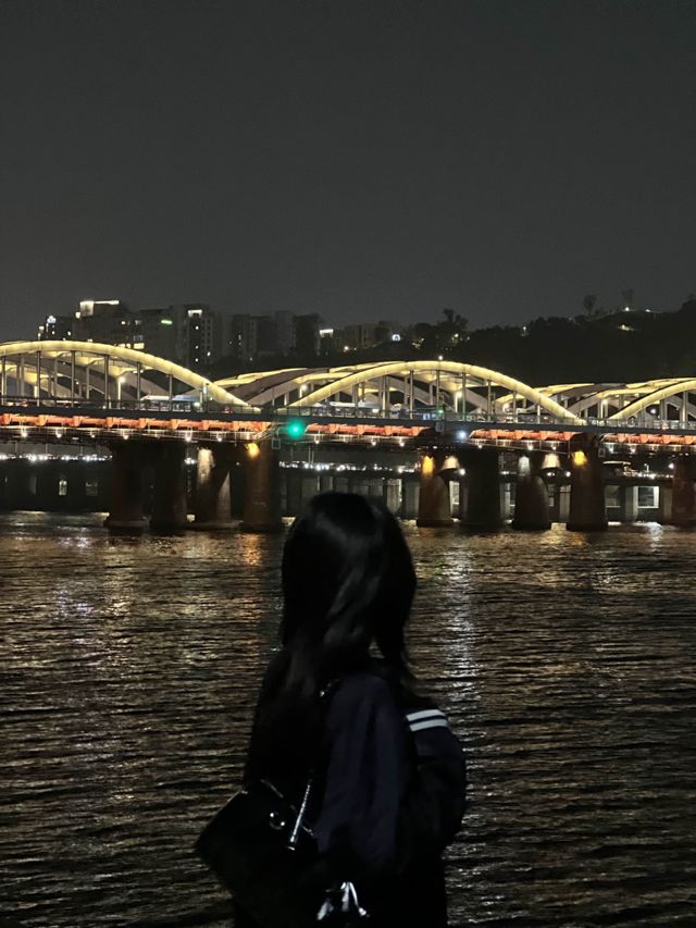 [서울여행] 사람 없는 노들섬 야경🌃