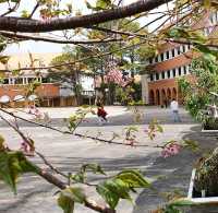 Dalat College of Pedagogy