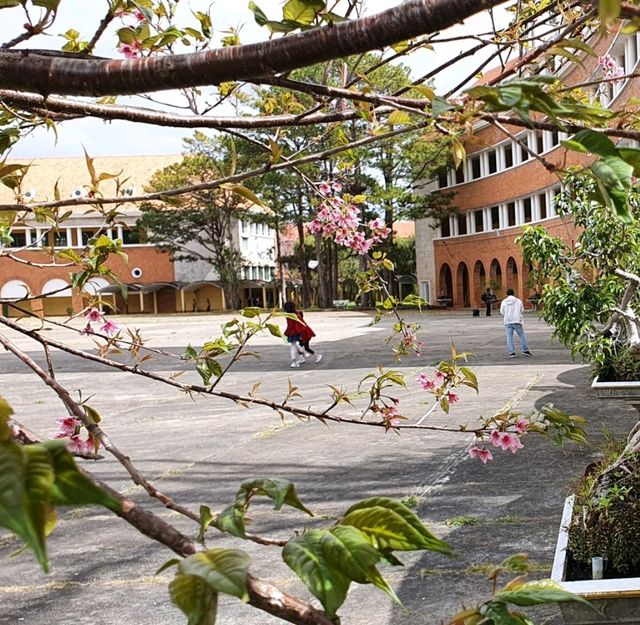 Dalat College of Pedagogy