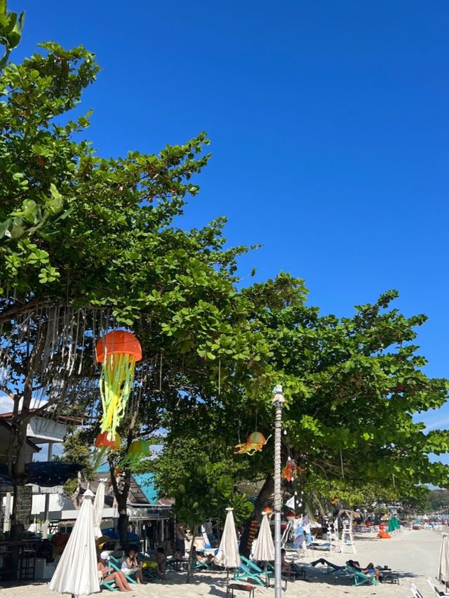 🌴✨ เกาะเสม็ดหน้าหนาว ฟินมากครับ 🫧🐋