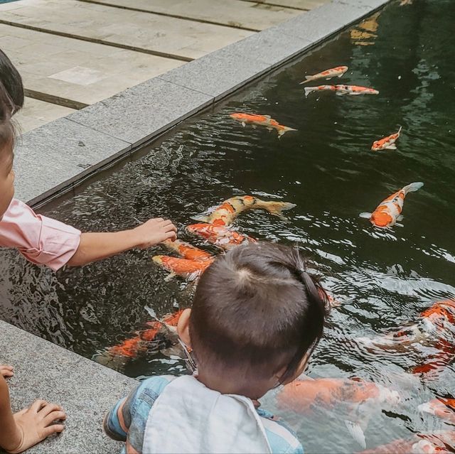 looking for a spontaneous staycation?