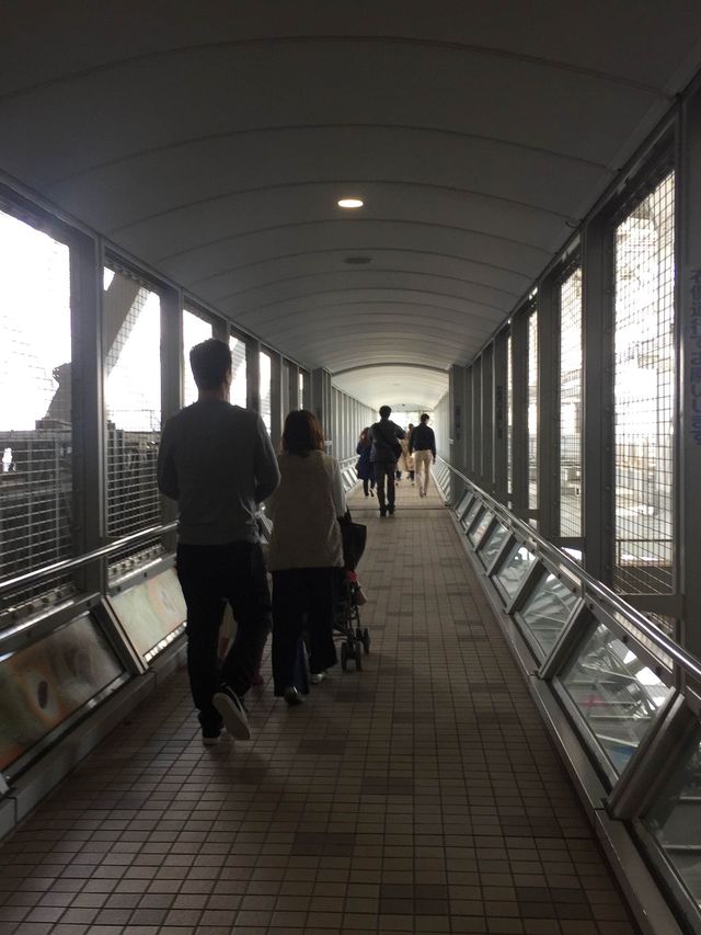 世界三大漩渦之一🌊 📍日本鳴門市「鳴門漩渦」