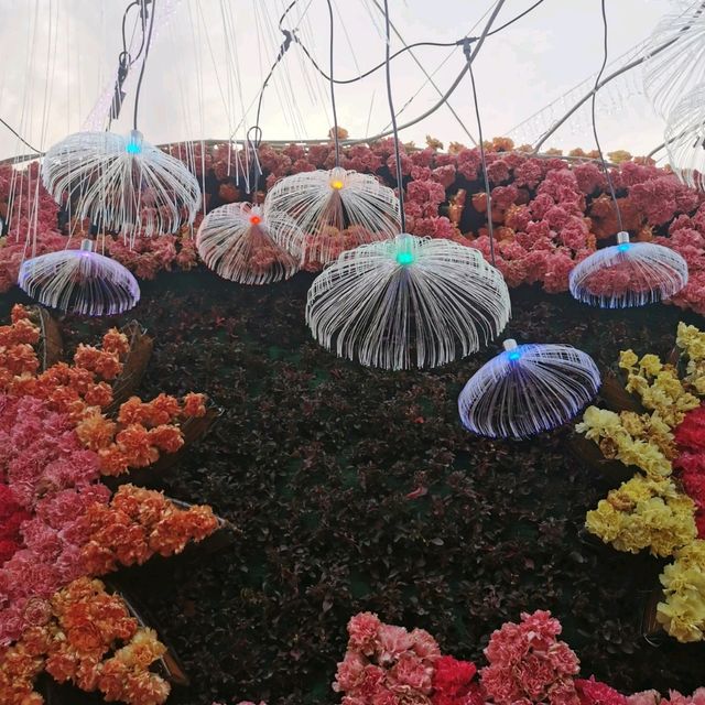 Hong Kong Flower Show 
