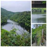 天陰輕鬆行👣鶴藪水塘>沙羅洞>鳳園