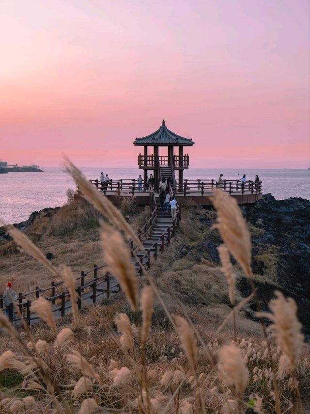 억새풀과 제주바다를 한눈에 볼 수 있는 이곳"닭머르해안길"