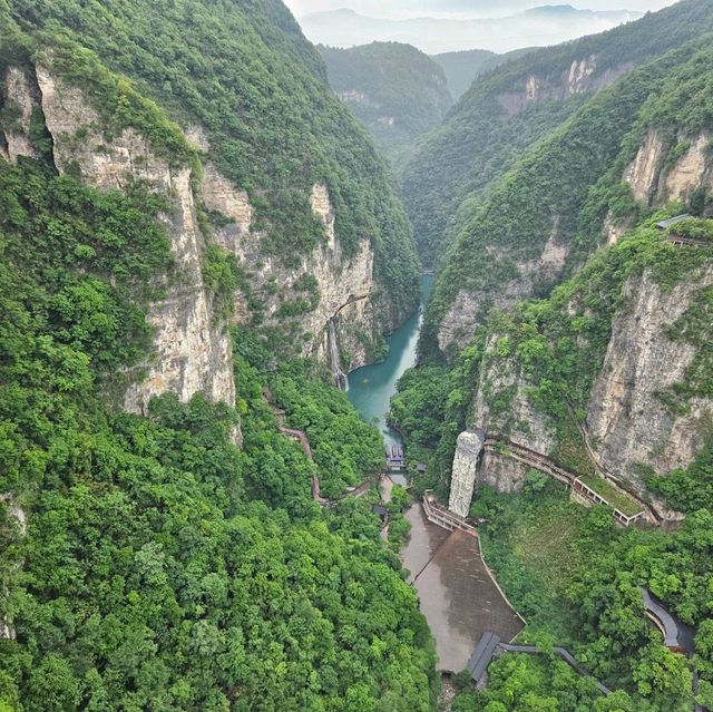 Glass Bridge Zhang Jia Jie