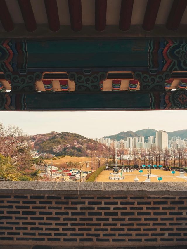 부산에 있는 텔레토비 동산💚
