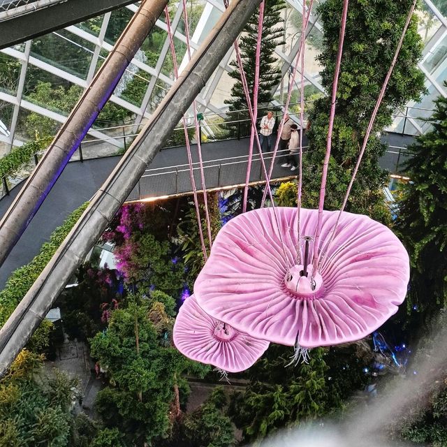 Cloud Forest สิงคโปร์