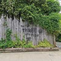 The Three Little Pigs