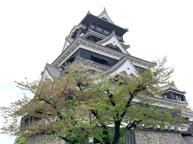 熊本　熊本観光　熊本に来たなら外せない熊本城へ行ってきた！