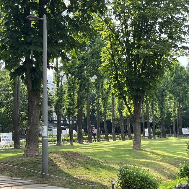 연트럴파크 제일 예쁜 포인트 공유해요 💚