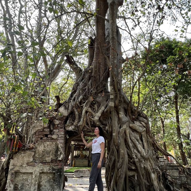 ประตูกาลเวลา วัดเลขธรรมกิตติ์ นครนายก