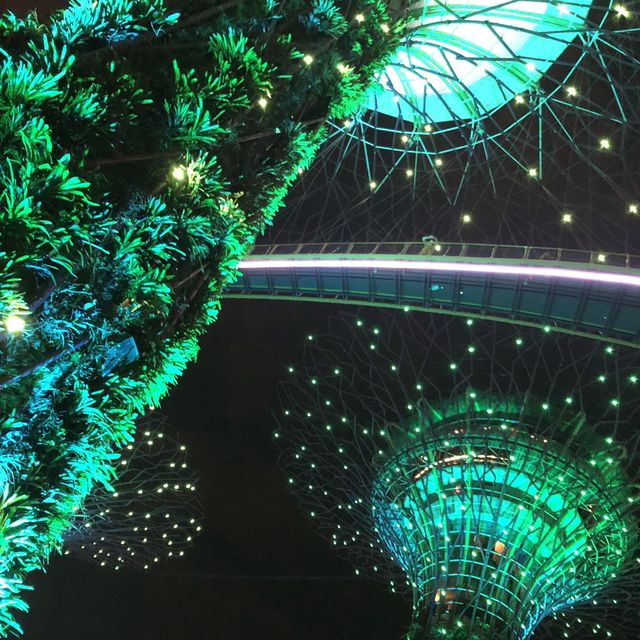 【シンガポール】近未来植物園ガーデンバイザベイ