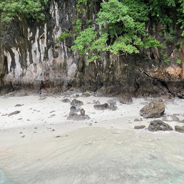 布吉景點✨ 最美海島Phi Phi Island