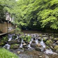 夏は涼しげな貴船神社へ