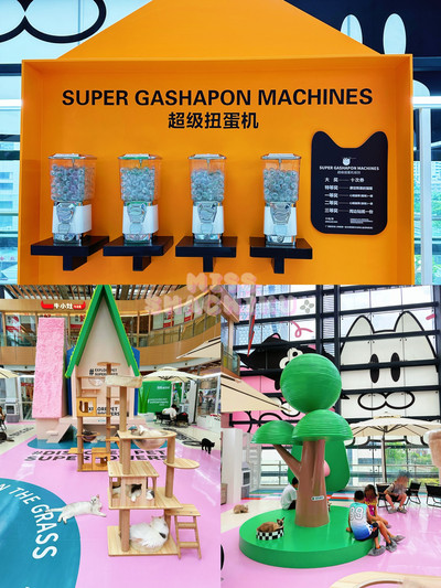 ⭐️一齊喵喵喵🐱商場入面竟然可以玩貓貓🐈‍⬛｜Trip.com 深圳