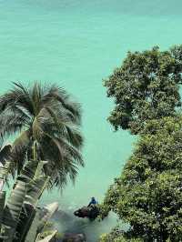 Swim with elephants at Tri Trang beach,Phuket