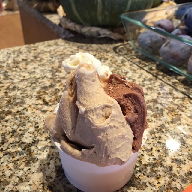 小豆島 ｜遊橄欖公園 🍧嘆超好味gelato 