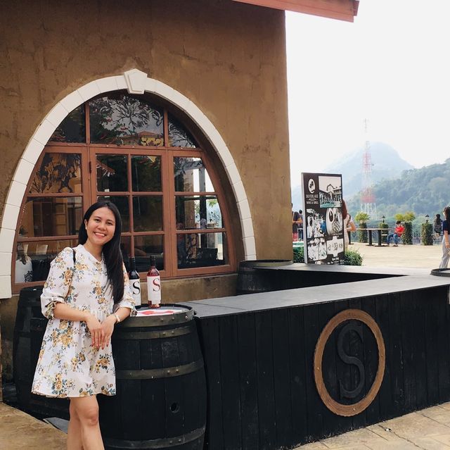 Silverlake - A Large Vineyard 🍇🤗