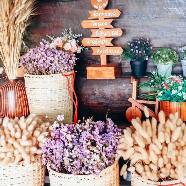 แม่กำปอง หมู่บ้านที่มีเสน่ห์น่าหลงใหล จ.เชียงใหม่