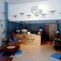 Luang Prabang CAT Café 