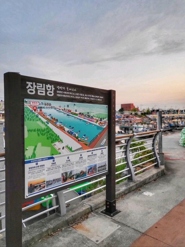 한적하게 즐기기 좋은 장림포구 야경✨️🎆