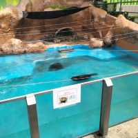 TOBU ZOO ญี่ปุ่น