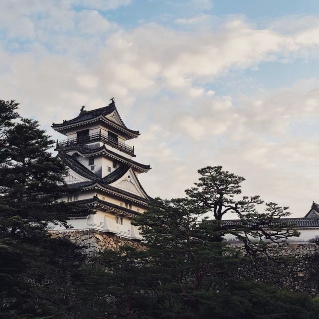 穿越時光！高知城感受歷史與浪漫！🏯🌸🌳