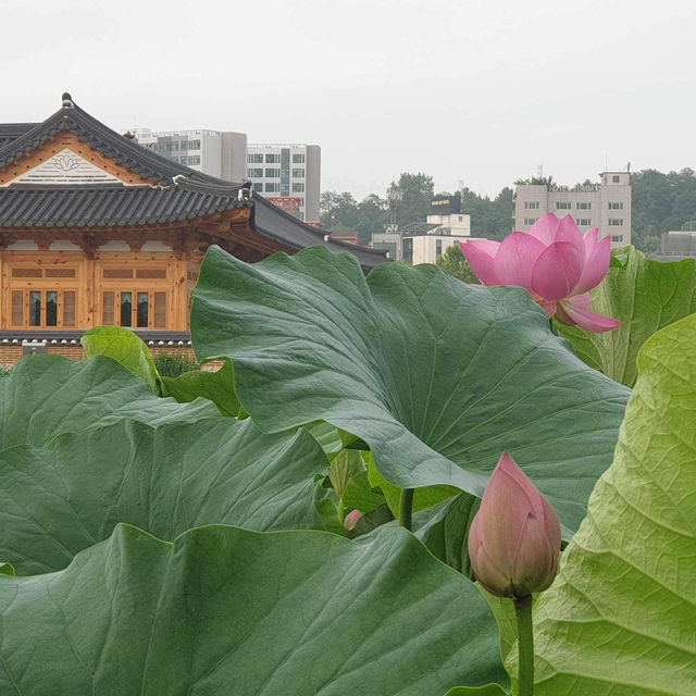 Lotus Park Jeonju 