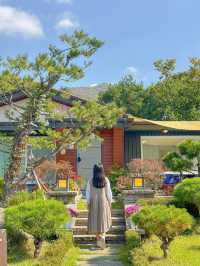 올 가을 채이네로 놀러오세요🤎, 오늘의 우리 집🏠