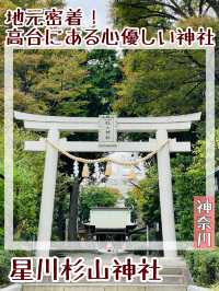 【神奈川県/星川杉山神社】地元密着！高台にある心優しい神社