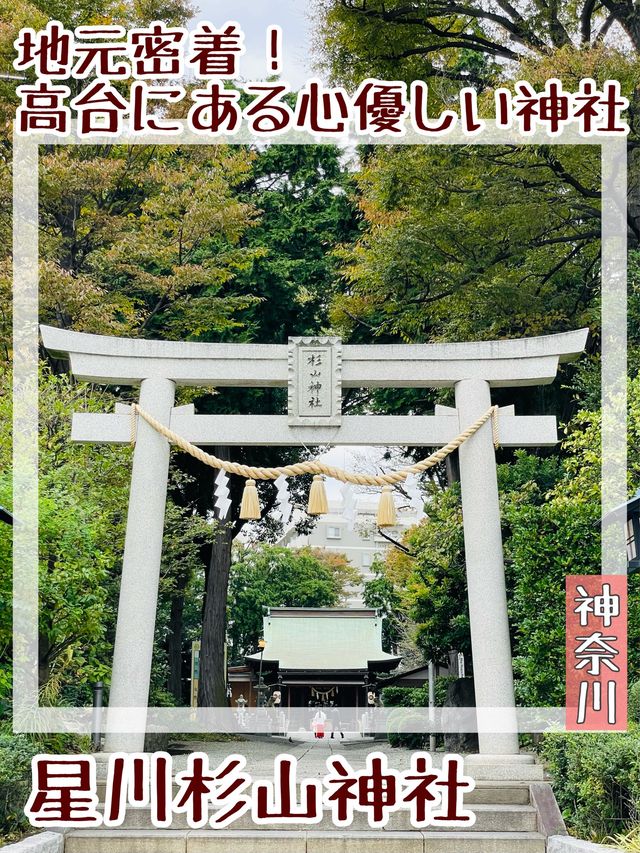 【神奈川県/星川杉山神社】地元密着！高台にある心優しい神社