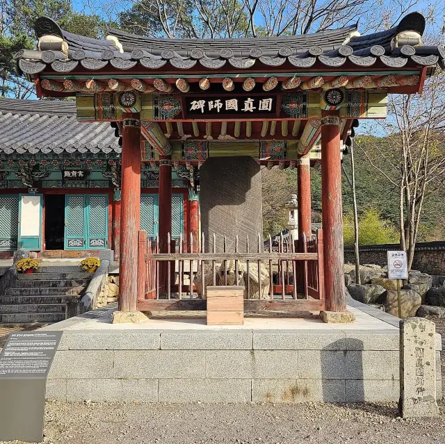 The Beauty Of Bogyeongsa Temple 