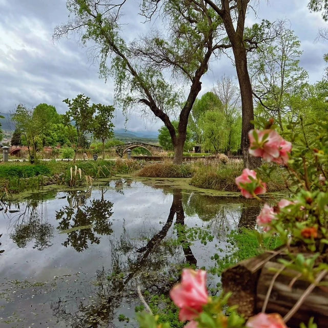 興隆里 🏡🌸懷舊風情🚶🌳