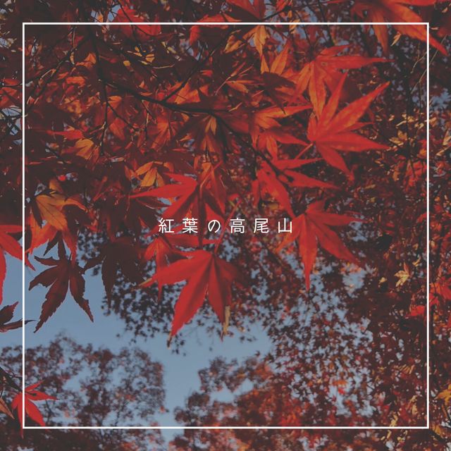 【紅葉高尾山】