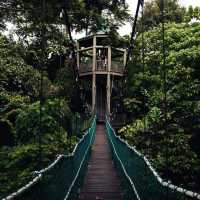 KL Forest Eco Park ❤️🇲🇾